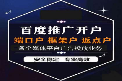 SEM运营推广助力行业领导地位